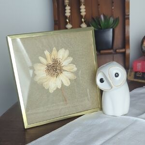 Pressed Flower Frame & Owl Candle Holder Curated Set  Woodland Cottagecore Decor